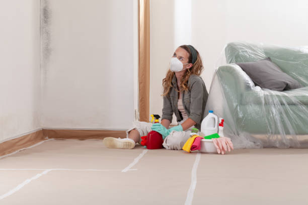 Reliable Mold Remediation contractor in Spencerville, MD by Car Mold Remediation
